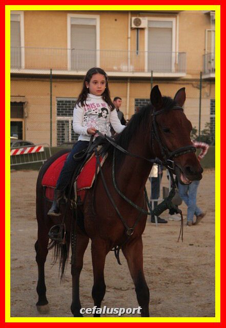 161106 equestre 180_tn.jpg
